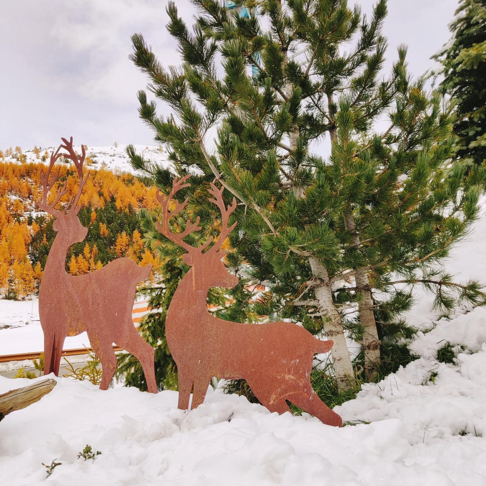 Al Dos Lägenhet Livigno Exteriör bild