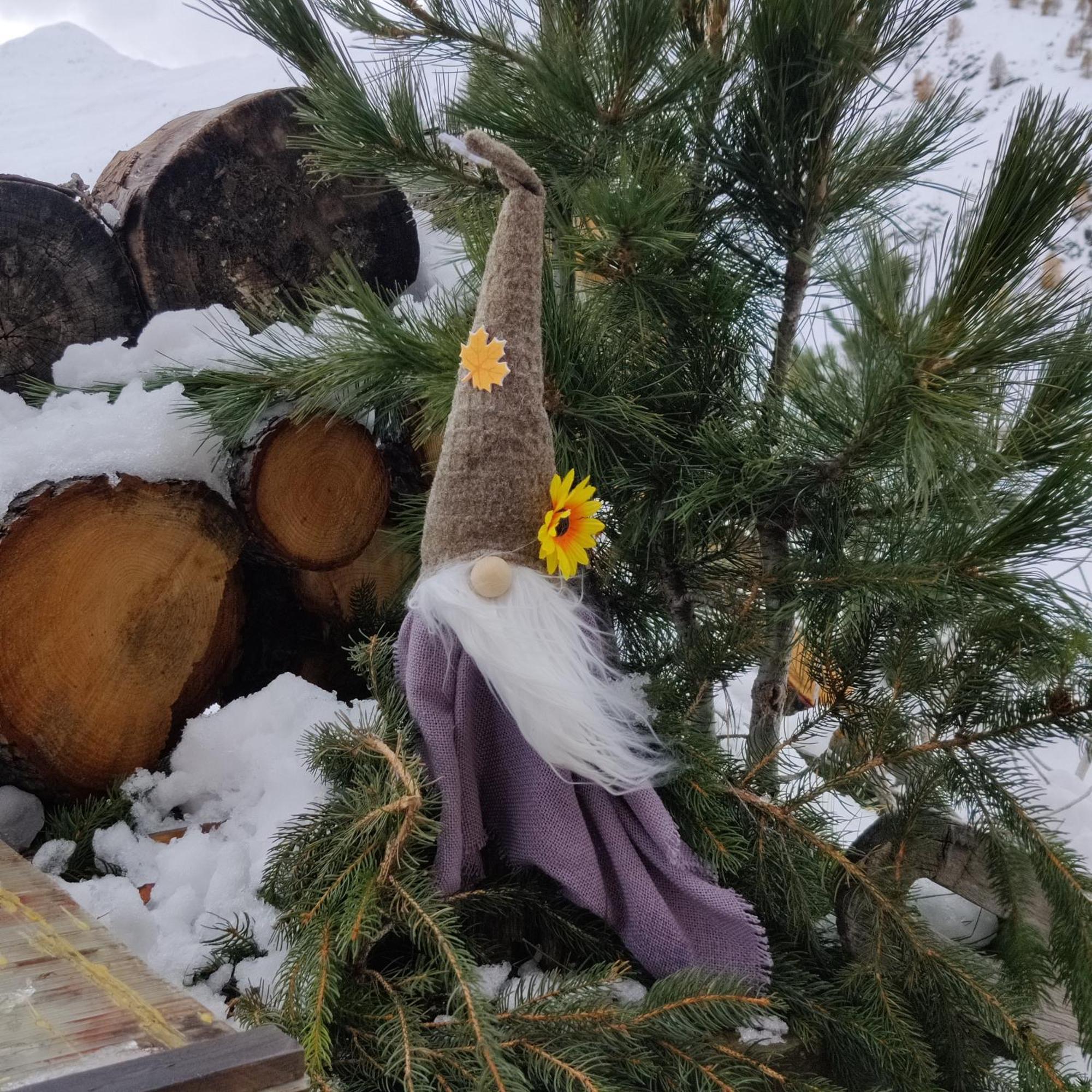 Al Dos Lägenhet Livigno Exteriör bild